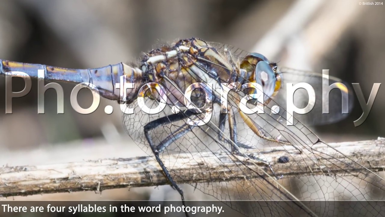 ⁣British English Pronunciation of Photo Words - Learn British English