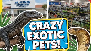 Visiting Mr. Petman Pet Shop In Daytona FL