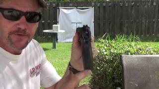 CO2 pel.Easy shooter for young and old. gun by Crossman. Nice grip ...