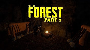 Crash Landing | The Forest | part 1
