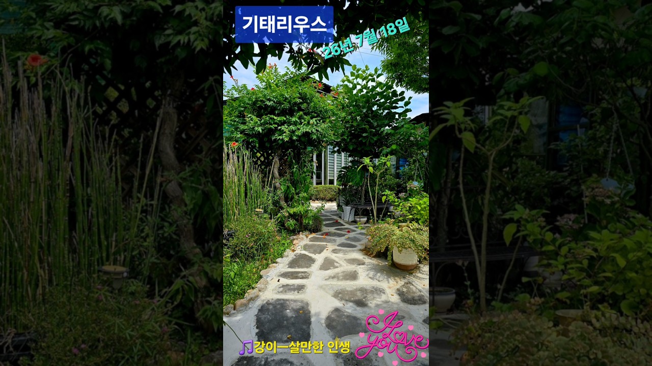 기태리우스 #정원 #ai노래 #노래교실 #살만한인생 #트로트 #홈스토랑 #경주양남 #샐러드#스파게티 #필라프