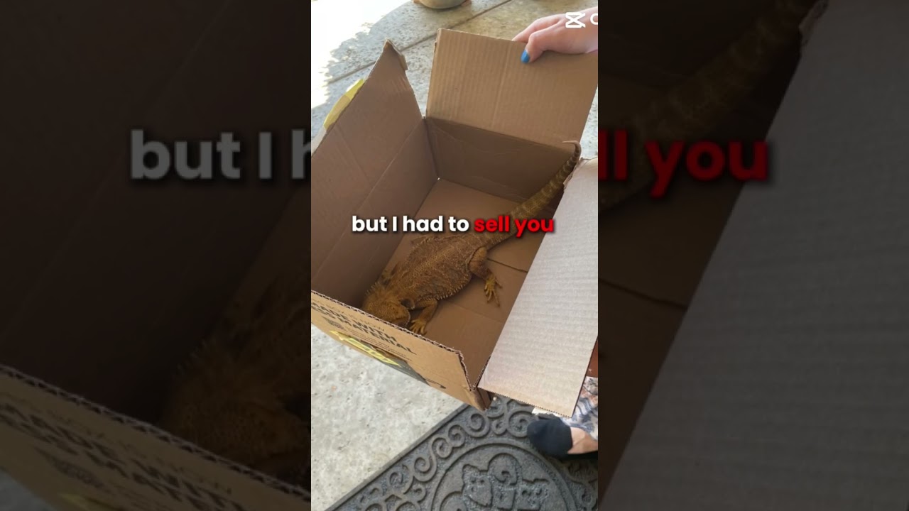 I miss you Parker😢