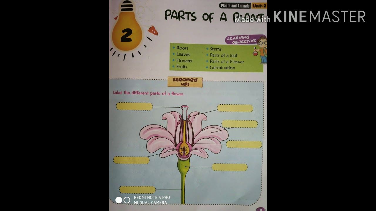 Science class 3 - YouTube