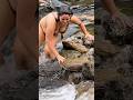 Jumping Into Crystal Falls Shorts Travel Waterfall Jumping 