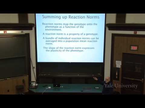 8. The Expression of Variation: Reaction Norms