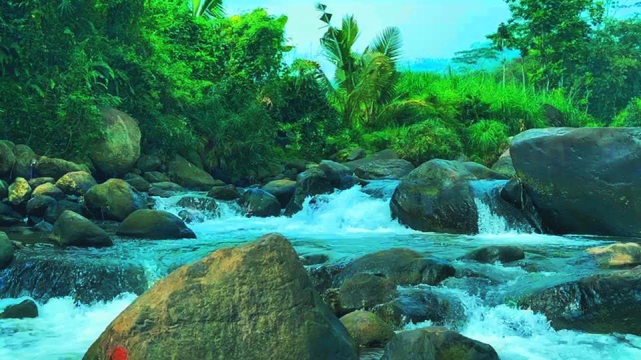 Forest River Flowing Through Mountains | Relaxing Water Sounds for Calm ...