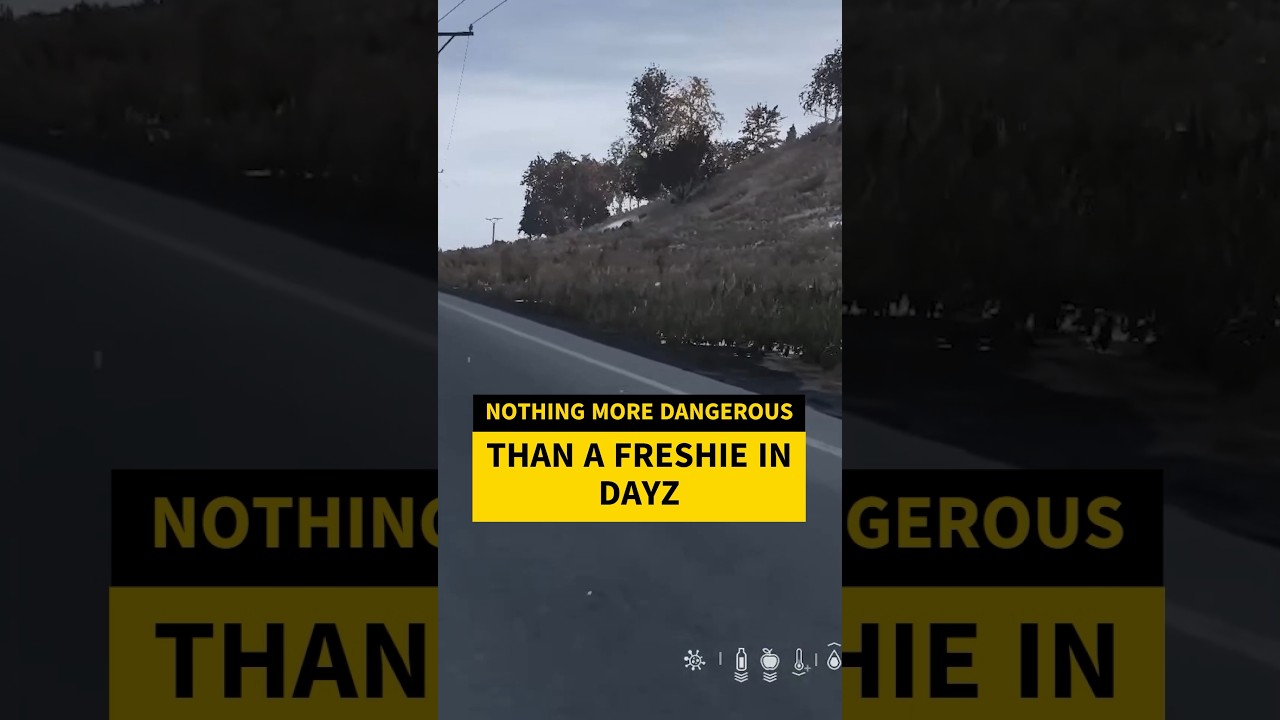 Nothing More Dangerous That A Freshie In DayZ #dayz #dayzpvp #dayzclips #dayzgameplay #dayzfunny
