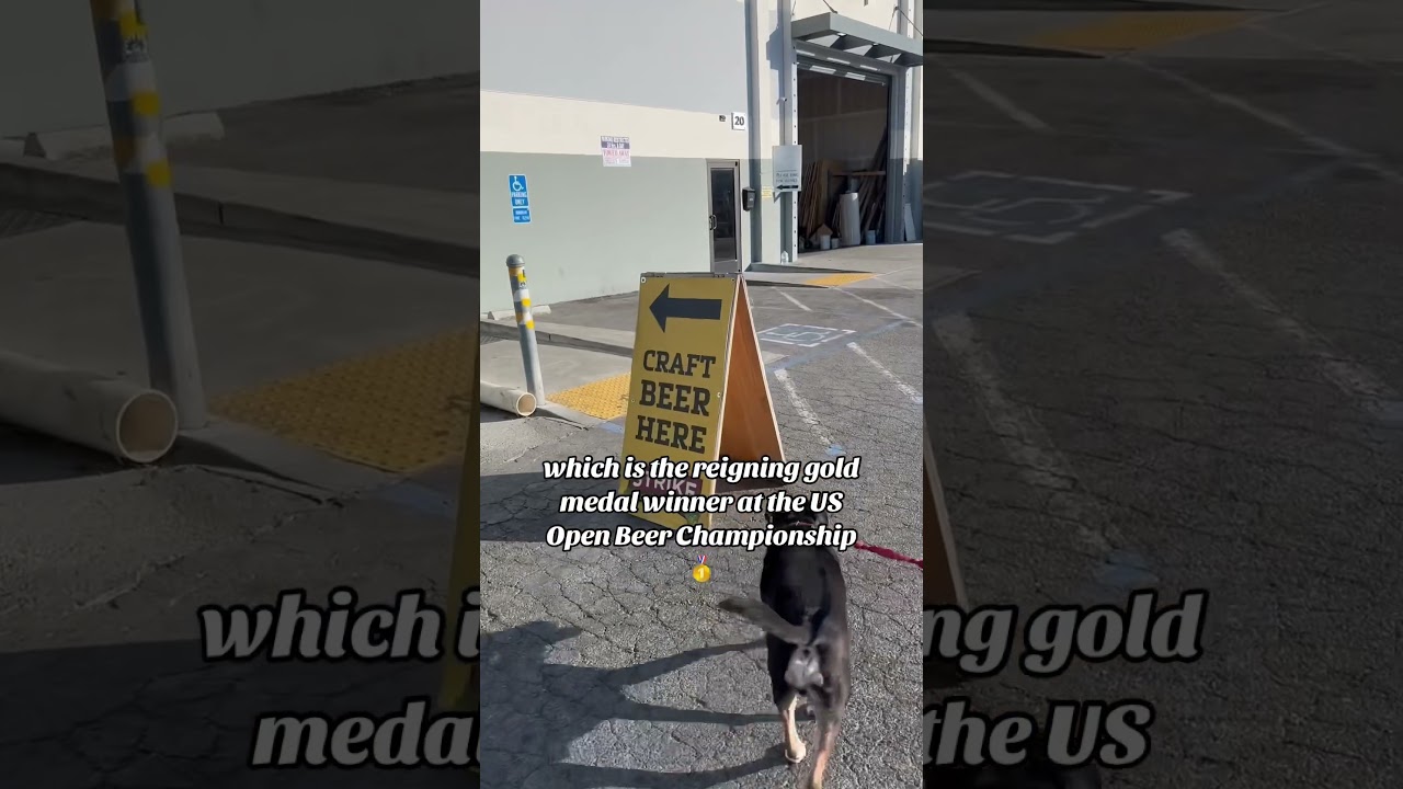 What’s the Brewery 🍺 in the Bay Area? Strike Brewing in San Jose🍻! 