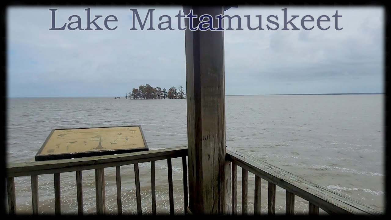 Lake Mattamuskeet Wildlife Refuge NC YouTube