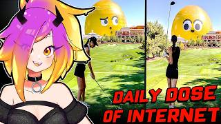 THE WORLD IS A WILD PLACE! - Daily Dose of Internet Reaction