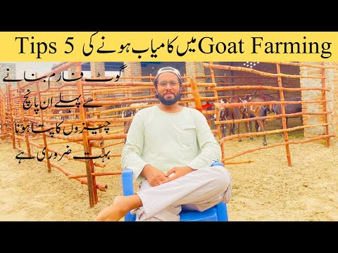 How to Become Successful in Goat Farming || 5 Tips to Become Successful in Goat Farming || 2023