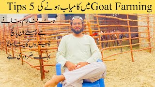 How to Become Successful in Goat Farming || 5 Tips to Become Successful in Goat Farming || 2023