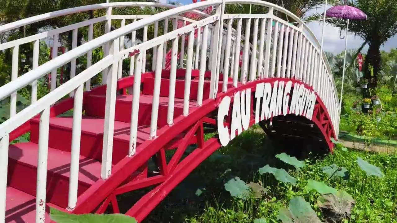 KHU DU LỊCH HAPPY HÙNG THY SA ĐÉC ĐỒNG THÁP MỞ CỬA MỖI NGÀY PHỤC VỤ KHÁCH YÊU ❤️