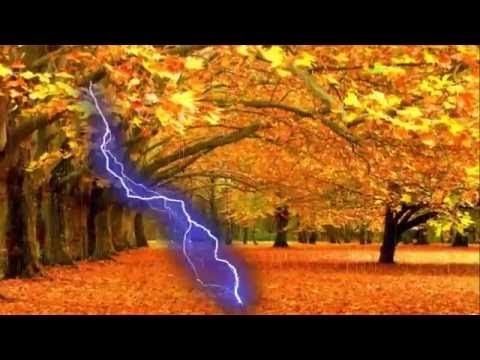 Футаж Дождливая осень
