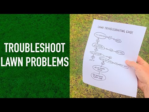 How to Troubleshoot Lawn Problems