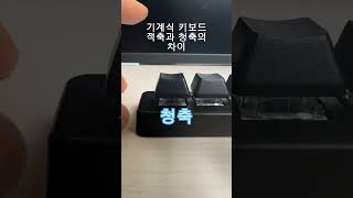 기계식 키보드 적축과 청축의 차이 screenshot 5
