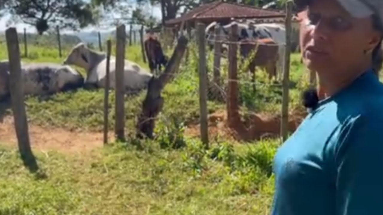 ELEA FAZ  TUDO SOZINHA O TRABALHO DO SITIO TIRA LEITE TRATA DOS PORCOS E DAS GALINHA
