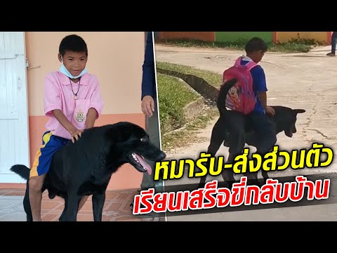 หมารับ-ส่งส่วนตัว เรียนเสร็จปุ๊บขี่กลับบ้านปั๊บ กับเบื้องหลังชีวิตสุดกตัญญู : Khaosod TV