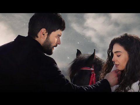 Ветреный💎Hercai//Клип БОМБА//Жила была одна семья