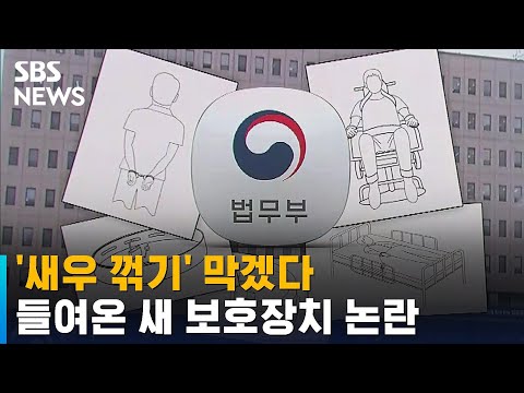 &amp;#39;새우 꺾기&amp;#39; 막겠다며 새로 들여온 보호장치도 논란 / SBS
