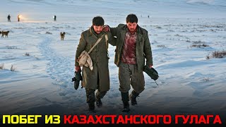 видео: Исчезновение Троих Политзаключённых Из Карлага картинка: Исчезновение Троих Политзаключённых Из Карлага