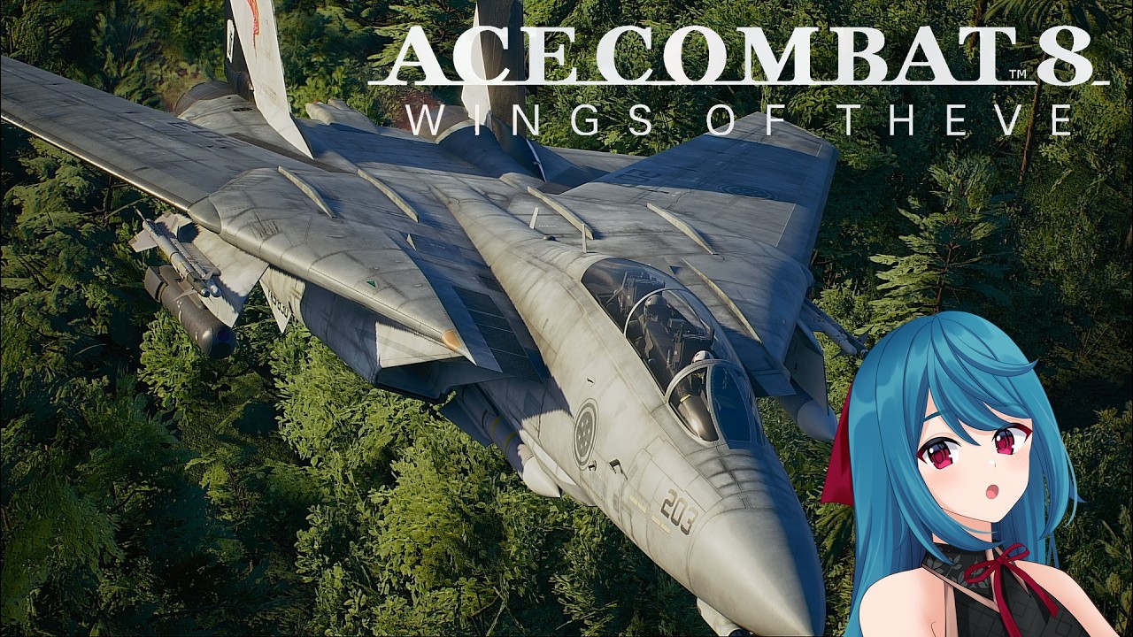 ※ネタバレあり(背負わされる偽りの肩書)#2 ACE COMBAT8