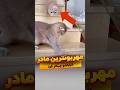 مهربونترین مادر مادر مهربون شورت تیک تاک ظ گربه 