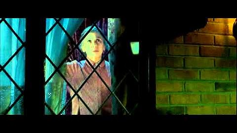 Harry Potter and the Order of the Phoenix flight of the order