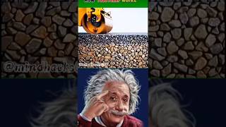 sigma process Albert Einstein 🤯 process #experiment Albert Einstein