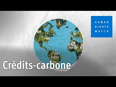 Crédits-carbone, mode d’emploi