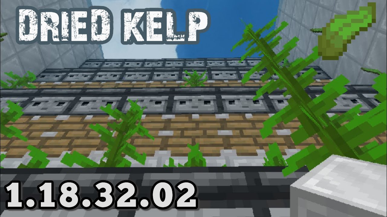 KELP FARM DRIED KELP MINECRAFT YOUTUBE YouTube