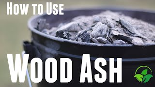 How to Use Wood Ash In The Garden  Wood Ash Fertilizer