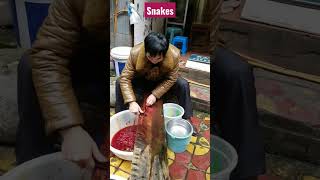 Famous Warning: You Won't Believe What China's Street Food Vendors are Serving! Profile