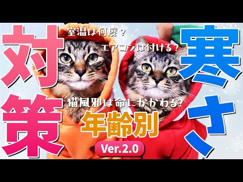 【猫が快適に過ごせる室温は「27℃」と言われている理由…!】猫の寒さ対策ver2.0,年齢別で防寒対策をご紹介! hqdefault