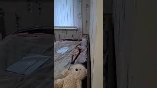 1-кімнатна квартира на Черемушках в Одесі