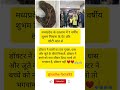 #motivation #shortvideo #radhe #cricket #viral #trending