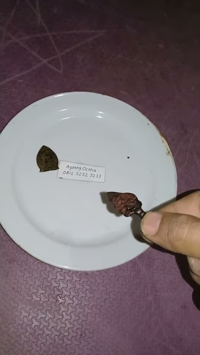 Pusaka semar mesem asli