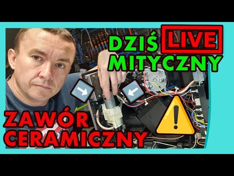 Wideo: Wymieńmy imiona gnomów z 