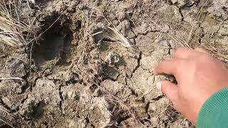 मजदर वडय Intresting Video अत तक जरर दख