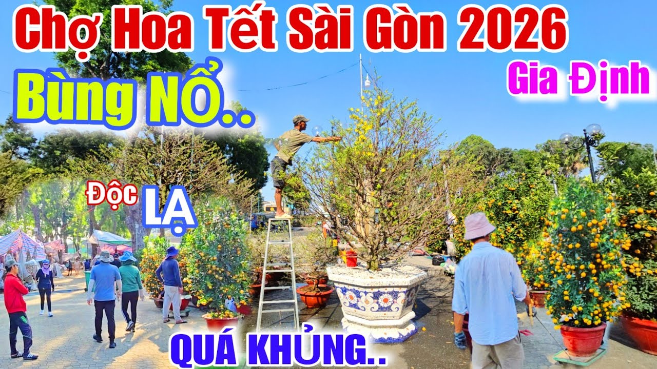 Chợ Hoa Tết sài gòn 2026 Bùng NỔ..Gia Định xuất hiện kiểng Độc Lạ đón xuân