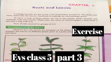 evs class 5 chapter 3 root and leaves part 3 exercise scert english medium cg book #pogoclass