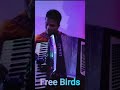 Himinowuna Nethu andunu | Free Birds | Shorts #music #coversong #newsong #song #singer #live #cover
