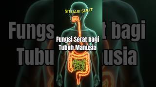 Manfaat Serat Bagi Tubuh Manusia ilmupengetahuan