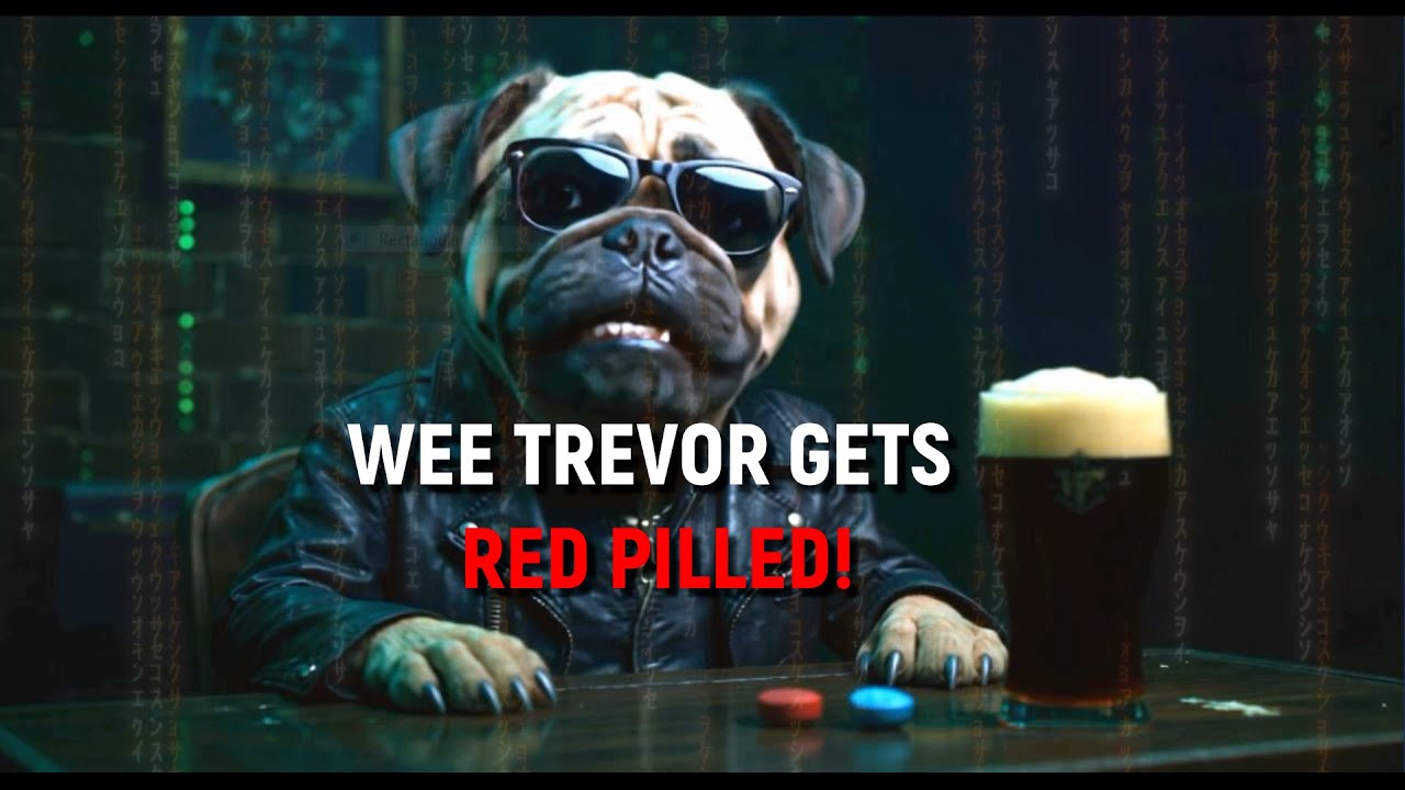 BELFAST DOG EXPERIENCES GLITCH IN THE MATRIX