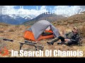 In Search Of Chamois