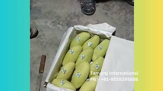🇮🇳 Indian Mango (Dashehari)