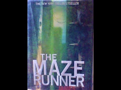 Chapter 3 - Maze Runner