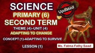 P6-Second Term - Unit 4 -Concept 1-Lesson -1