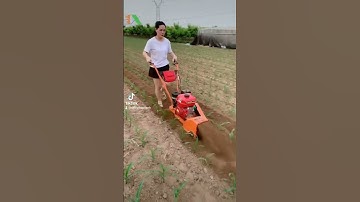 Máy cày vun ngô #03479440O5 #xuhuong #hieuthapxanh #nongnghiep #thapxanh #cayvunngo