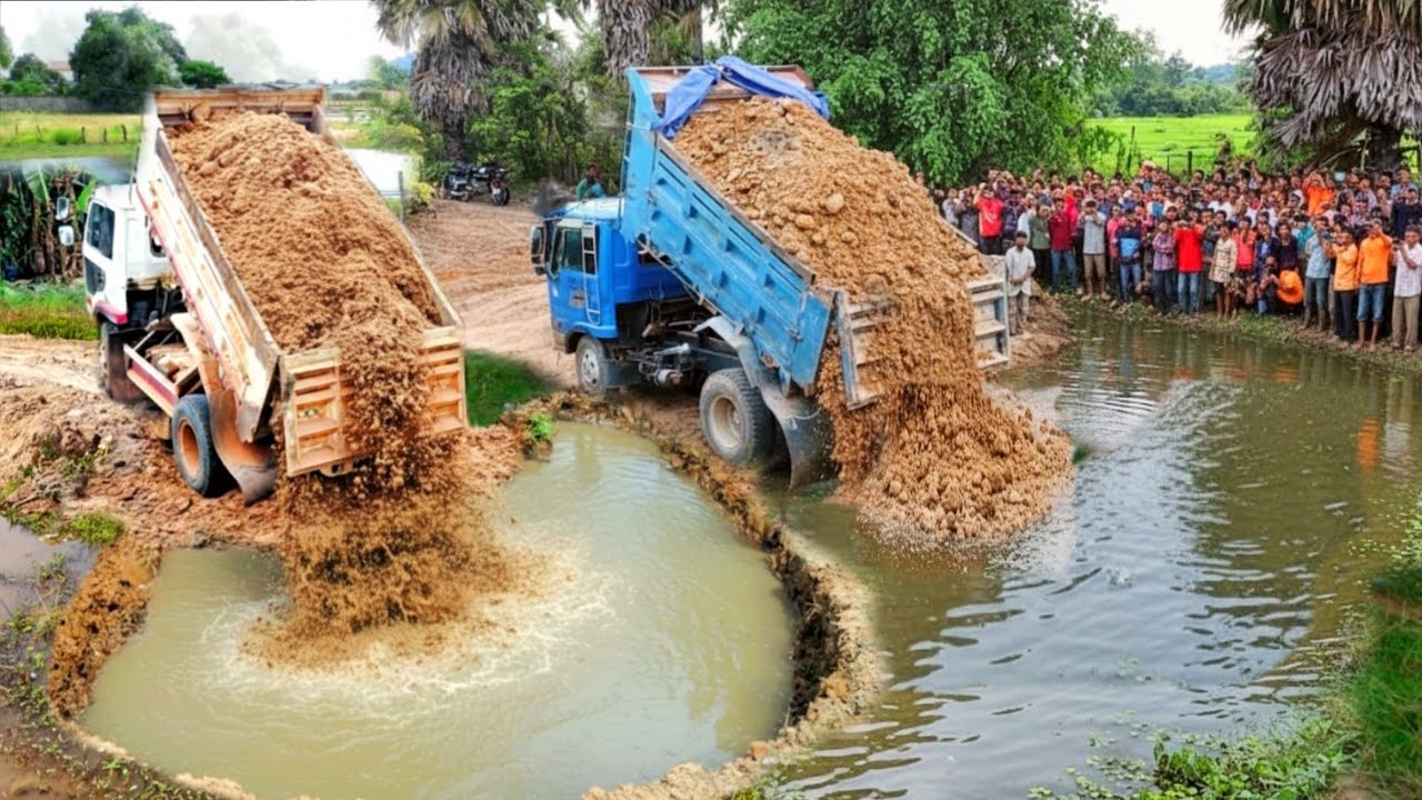 First Start A New Complete PROJECT!! 5 T Truck Dumping & Skill Bulldozer KOMATSU D20P Pushing Soil